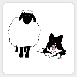 Border collie sheep Sticker